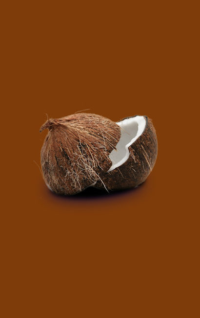 Coconut in two halves on a solid brown background