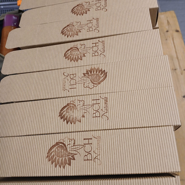 BCH Naturals Eco boxes in a row