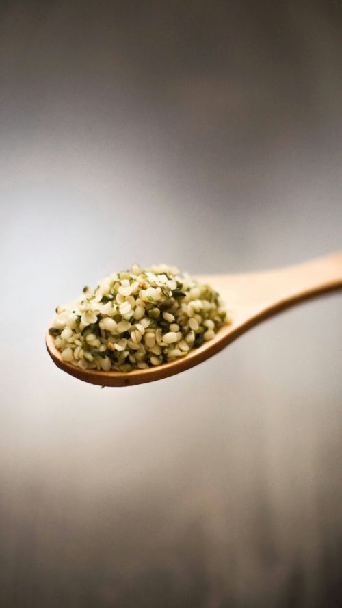 Hemp Hearts for hemp seed oil, on a wooden spoon